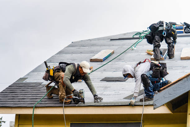 Professional Roofing technician working in East Freedom, PA